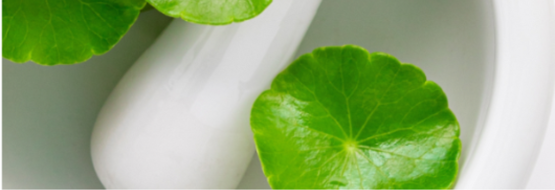 Midlife skincare ingredients explained — bakuchiol, ceramides, GHK-Cu, ectoin