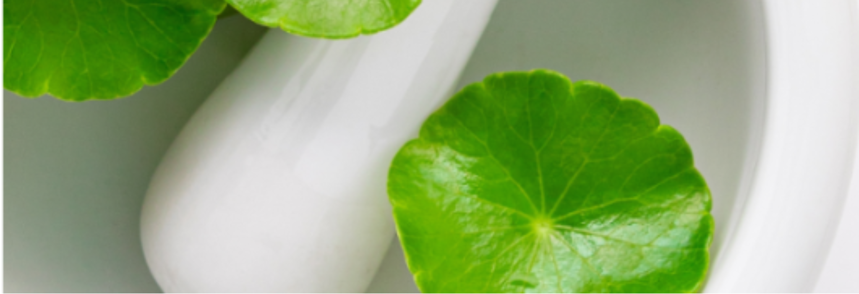 Midlife skincare ingredients explained — bakuchiol, ceramides, GHK-Cu, ectoin
