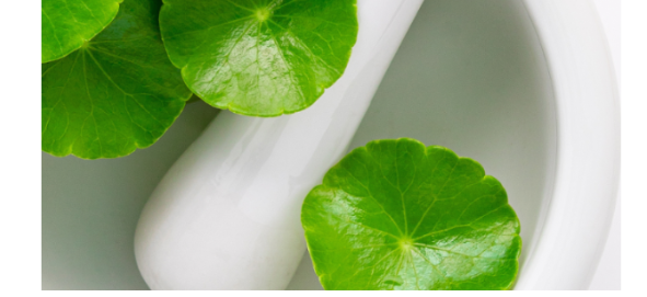 Midlife skincare ingredients explained — bakuchiol, ceramides, GHK-Cu, ectoin